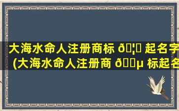 大海水命人注册商标 🦍 起名字(大海水命人注册商 🌵 标起名字可以吗)